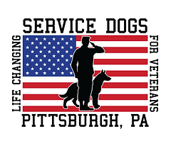 Life Changing Service Dogs for Veterans